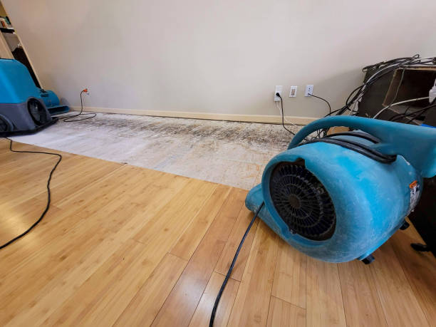Reliable Basement Flood Cleanup contractor in Basehor, KS by Hirex Water Damage