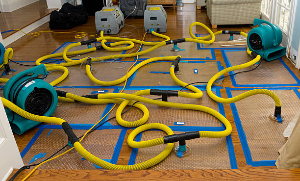 Professional Basement Flood Cleanup technician working in Basehor, KS